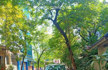 Cần bán gấp nhà Nguyễn Văn Huyên, Cầu Giấy. GẦN CÔNG VIÊN Nghĩa Đô, VIEW THOÁNG, GẦN PHỐ,  KD, TM, 85m2, mt 5.6m, chỉ 20 tỷ. SỸ 0961512188